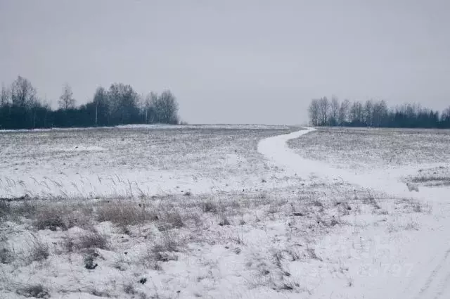 Участок в Омская область, Омский район, Ачаирское с/пос, пос. Речной  ... - Фото 2