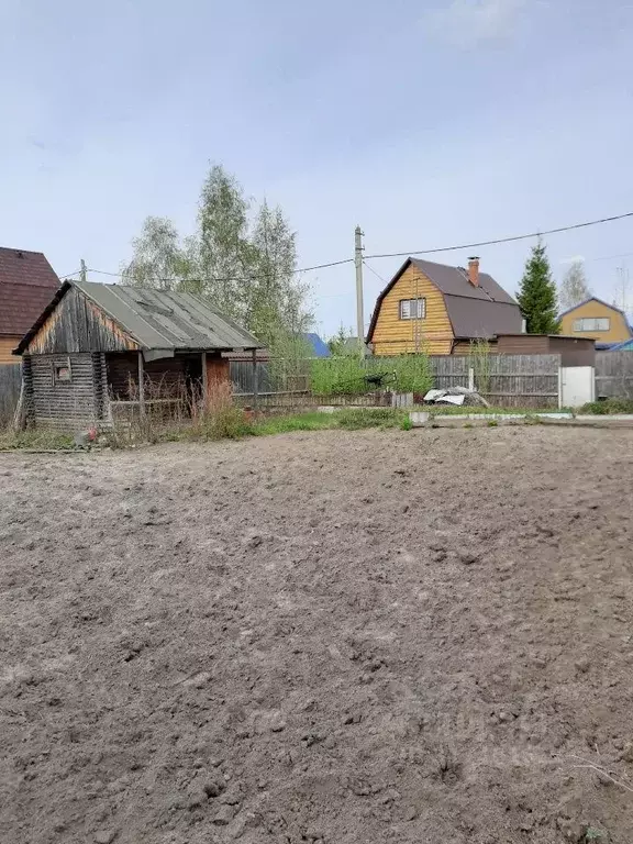 Участок в Ханты-Мансийский АО, Сургут Виктория садовое товарищество, ... - Фото 0