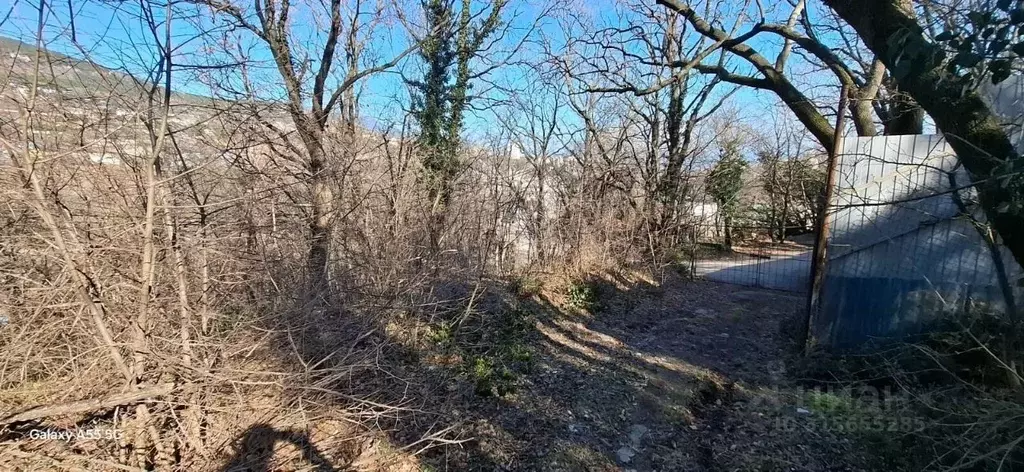 Участок в Крым, Ялта муниципальный округ, Виноградное пгт ул. Красина, ... - Фото 2