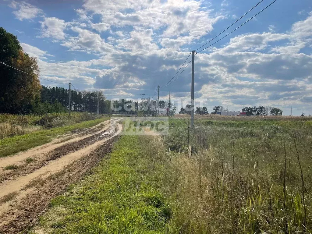 Участок в Тюменская область, Тюменский муниципальный округ, с. Борки  ... - Фото 1