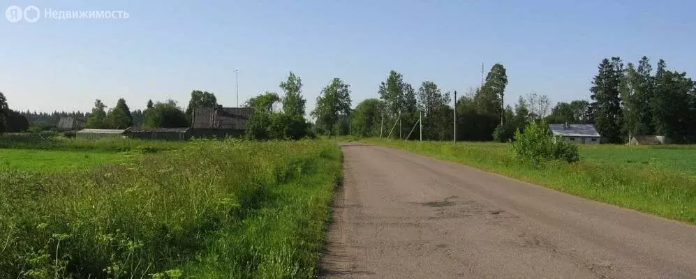 Участок в Волосовский район, Бегуницкое сельское поселение, деревня ... - Фото 1