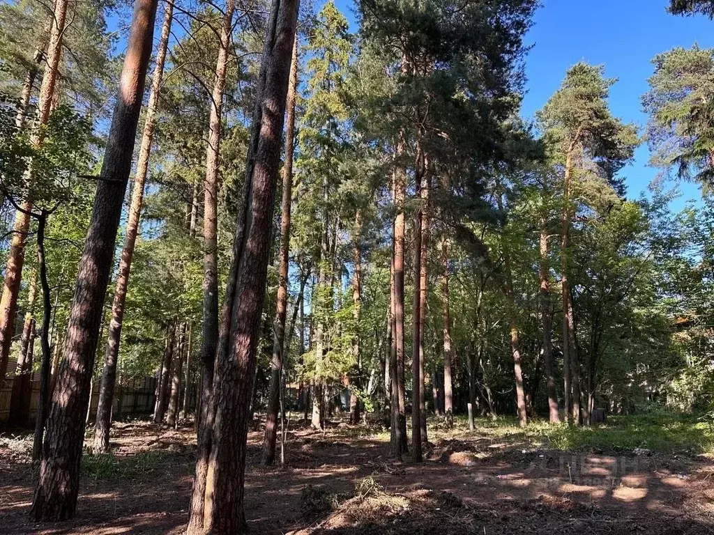 Участок в Московская область, Люберцы городской округ, Малаховка пгт ... - Фото 0
