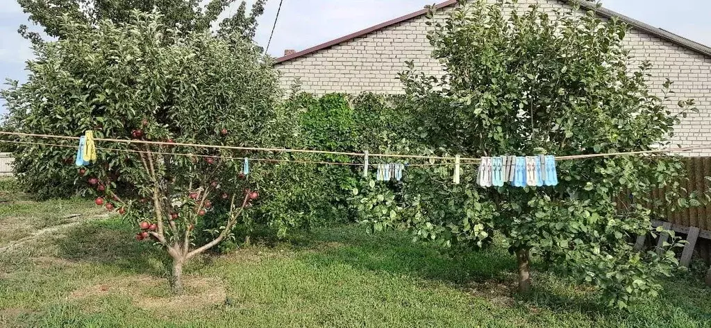 Дом в Волгоградская область, Светлоярский район, с. Цаца Советская ... - Фото 1