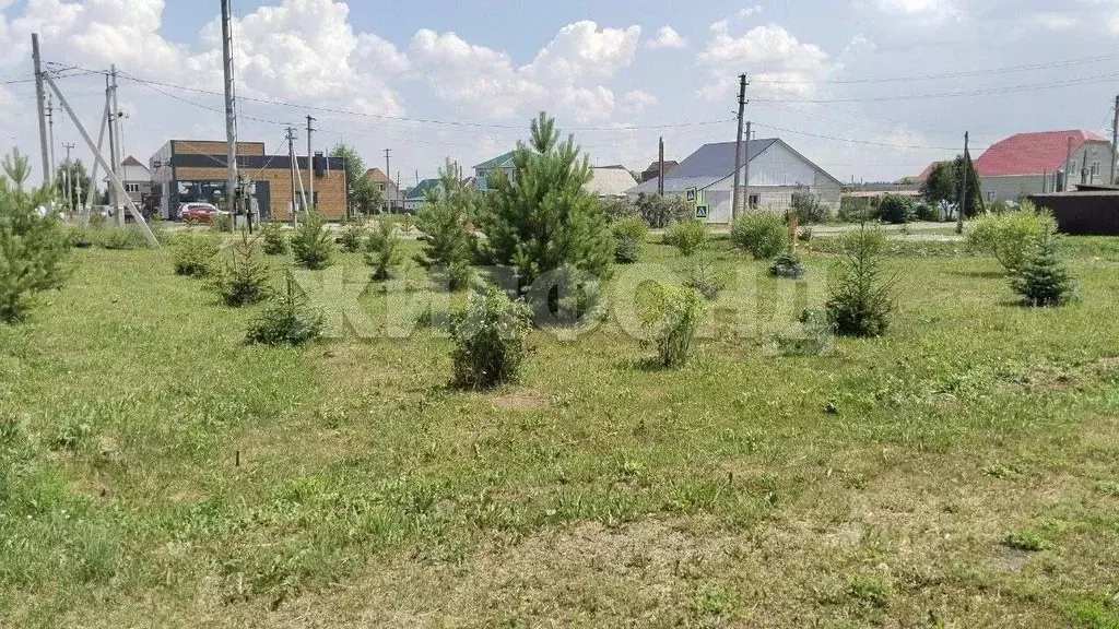 Дом в Алтайский край, Барнаул городской округ, пос. Лесной ул. ... - Фото 1