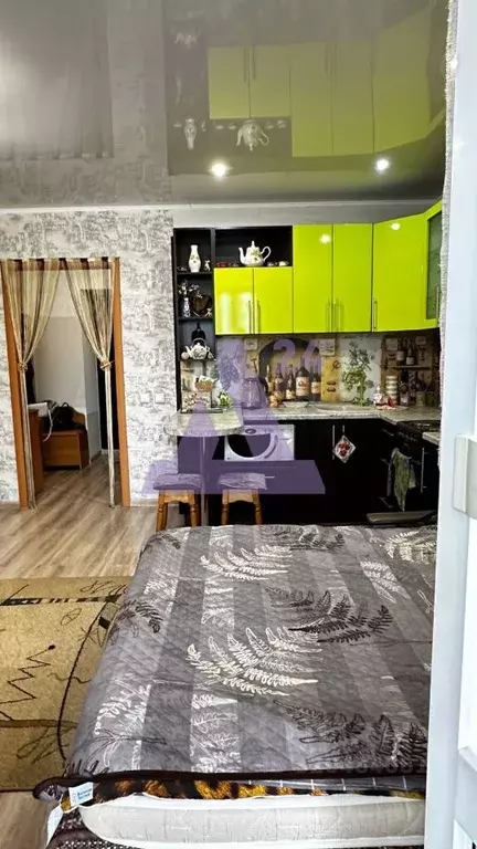 Студия Алтайский край, Новоалтайск ул. Анатолия, 92 (27.0 м) - Фото 2