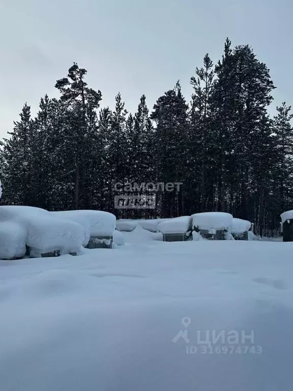 Участок в Ханты-Мансийский АО, Сургут Алтай ДНТ,  (5.4 сот.) - Фото 0