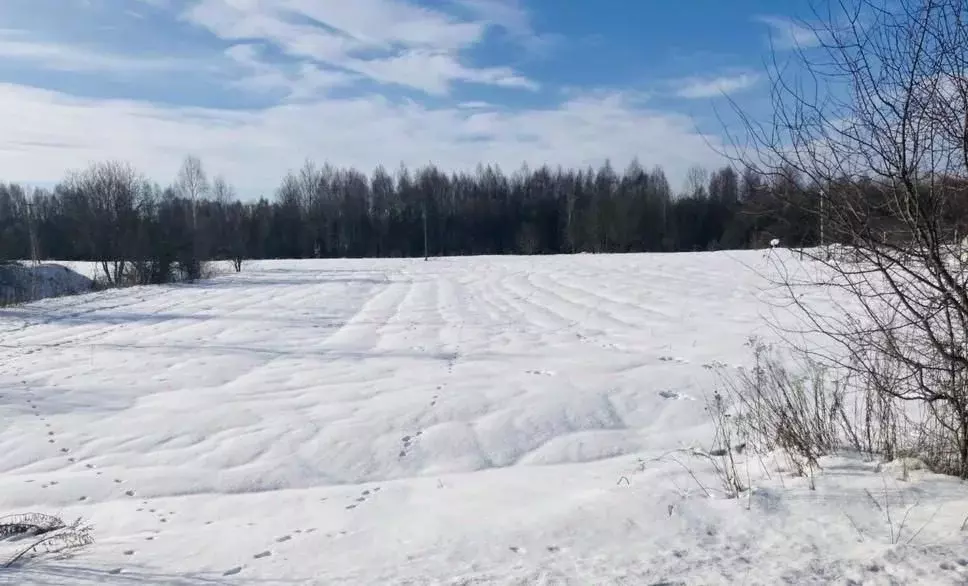 Участок в Московская область, Долгопрудный Хлебниково мкр, Советская ... - Фото 2