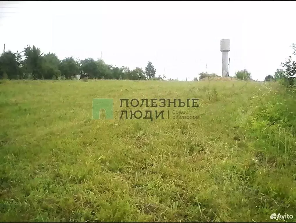 Участок в Орловская область, Мценский район, Аникановское с/пос, д. ... - Фото 1