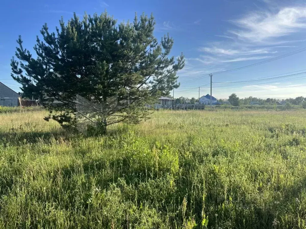 Участок в Тюменская область, Тюменский муниципальный округ, д. ... - Фото 1