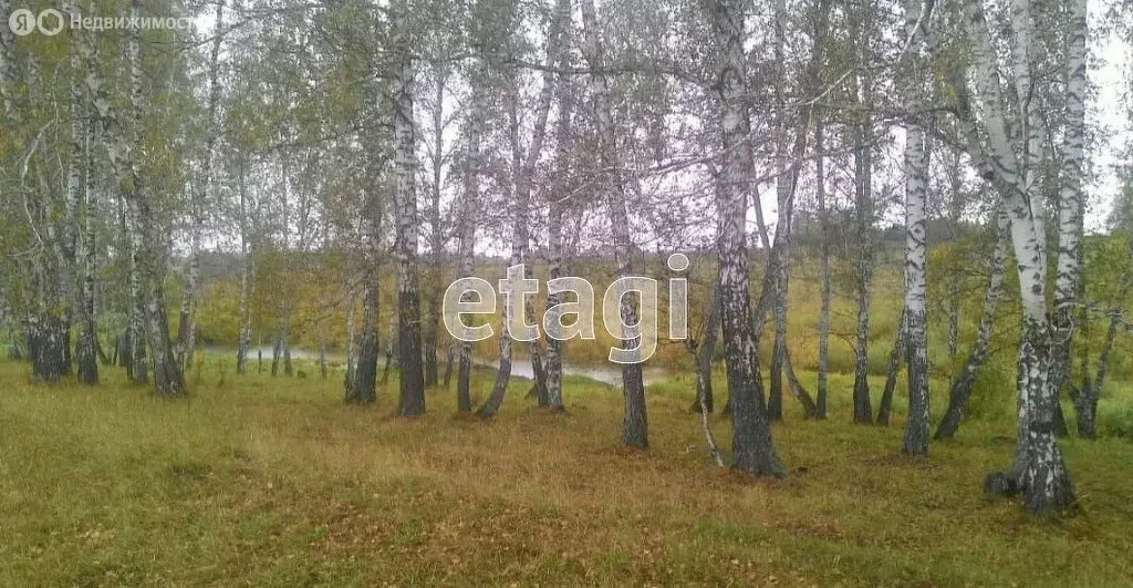 Участок в Искитимский район, Совхозный сельсовет, село Лебедёвка (850 ... - Фото 1