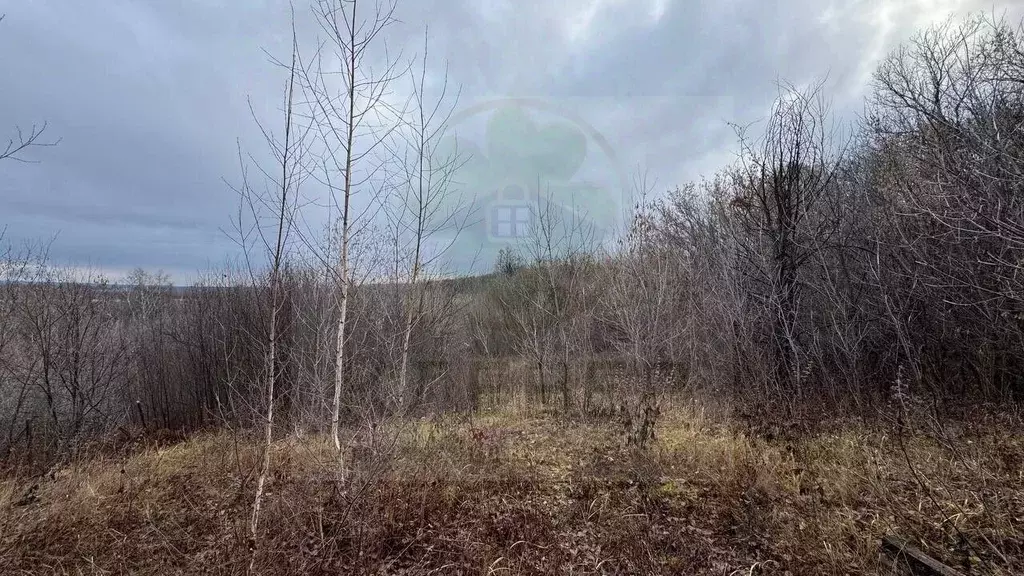 Участок в Башкортостан, Кушнаренковский сельсовет, д. Япарка ул. ... - Фото 2