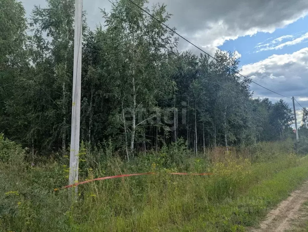 Участок в Новосибирская область, Новосибирский район, Морской ... - Фото 1