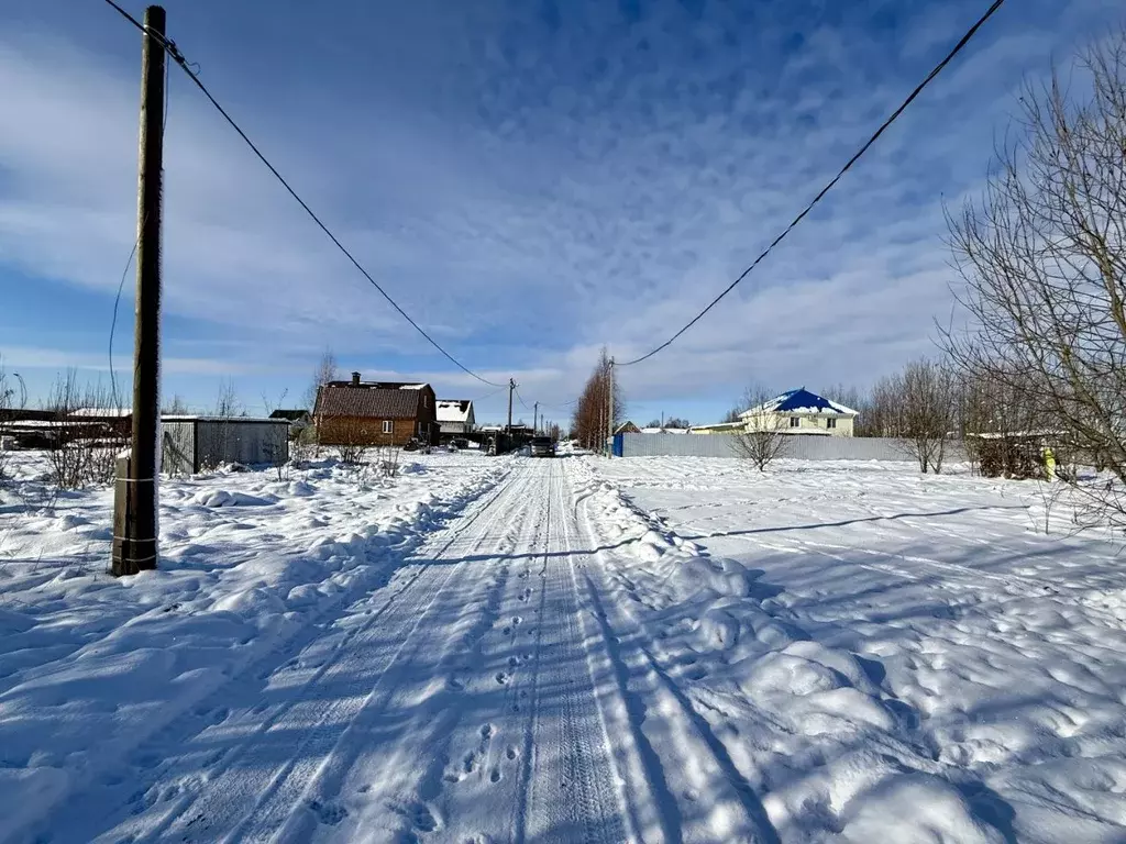 Участок в Новгородская область, Новгородский район, Ракомское с/пос, ... - Фото 0