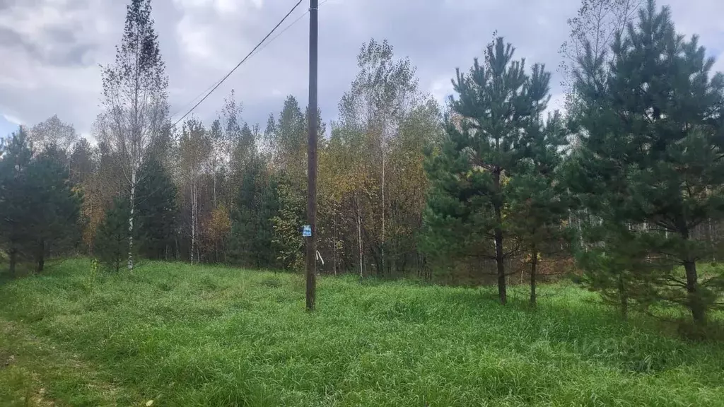 Участок в Алтай, Майминский район, Соузгинское с/пос, пос. Черемшанка ... - Фото 1