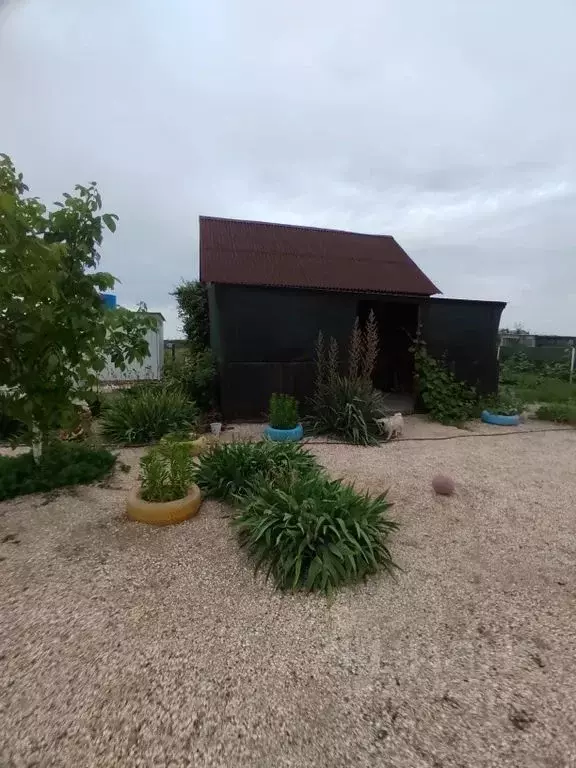 Дом в Краснодарский край, Ейский район, Должанская ст-ца Пролетарская ... - Фото 2