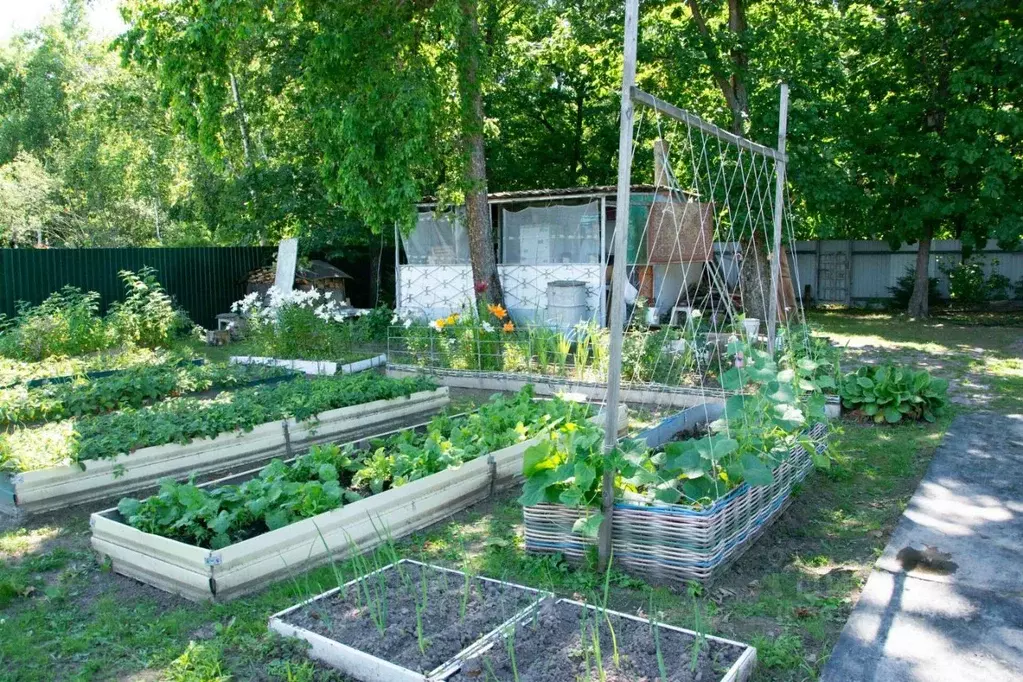 Участок в Хабаровский край, Хабаровский район, Юбиляр СНТ  (6.0 сот.) - Фото 1