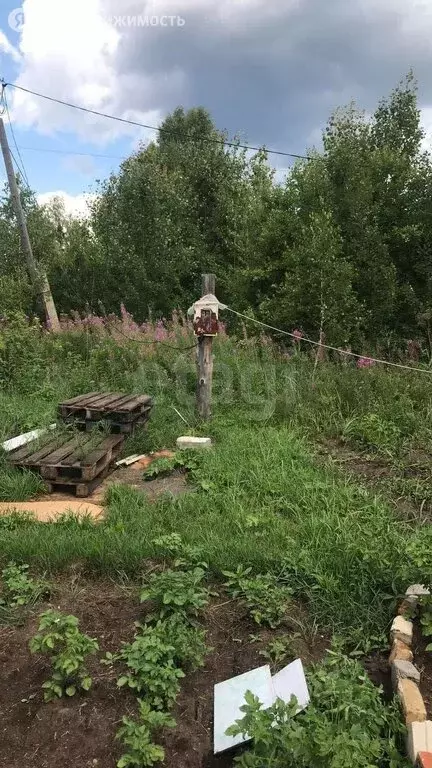 Дом в Нижнетавдинский район, СТ Здоровье-3, 6 (25 м) - Фото 1