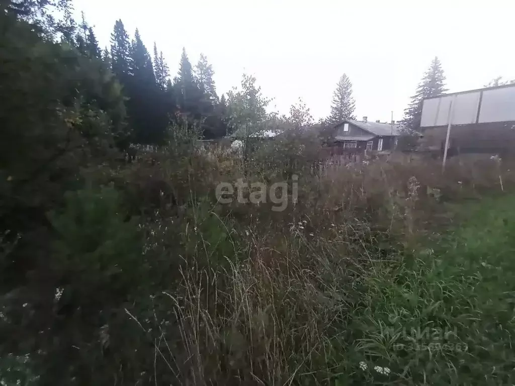 Участок в Свердловская область, Нижний Тагил Серебрянский тракт, 134 ... - Фото 1