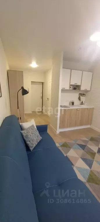 Студия Костромская область, Кострома Центральная ул., 48 (18.8 м) - Фото 0