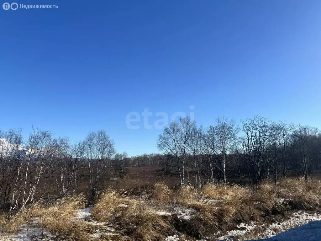Участок в Камчатский край, Елизово (99.2 м) - Фото 2