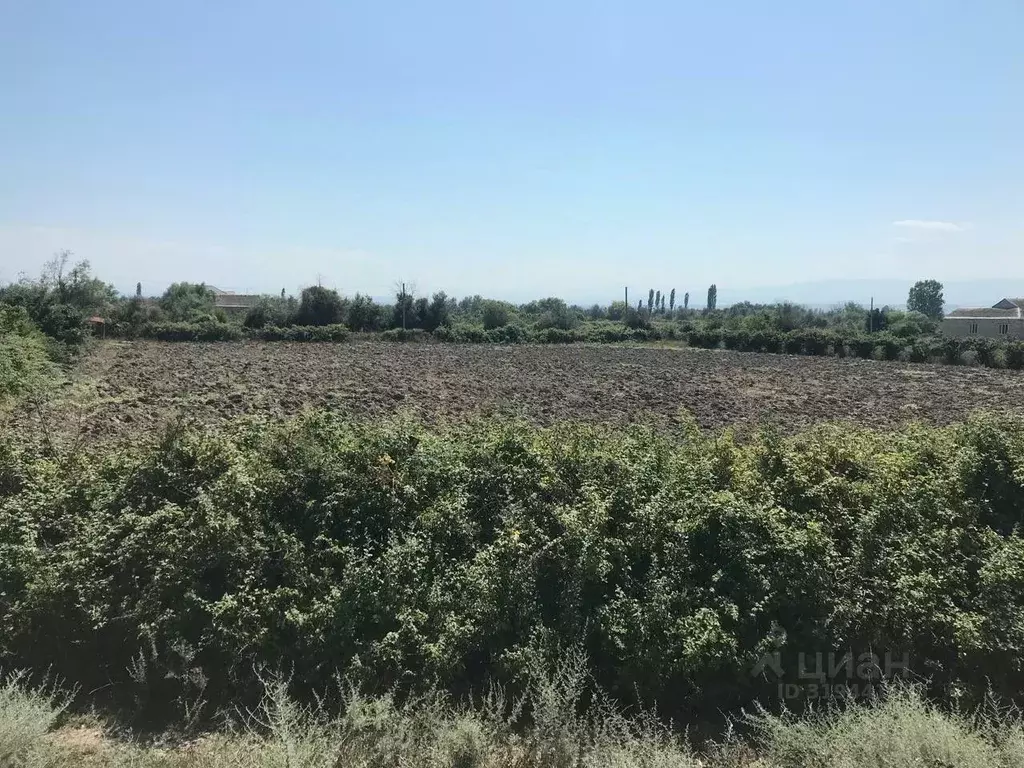 Участок в Дагестан, Курахский район, Моллакентский сельсовет, с. ... - Фото 0