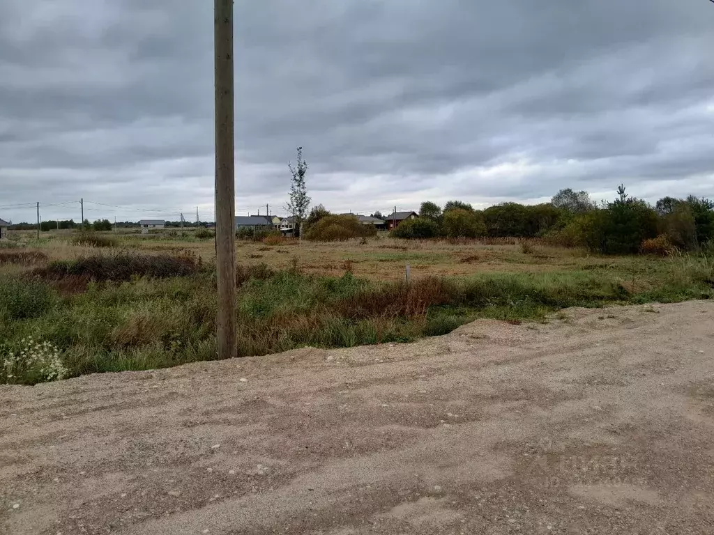 Участок в Вологодская область, Шекснинский муниципальный округ, д. ... - Фото 2