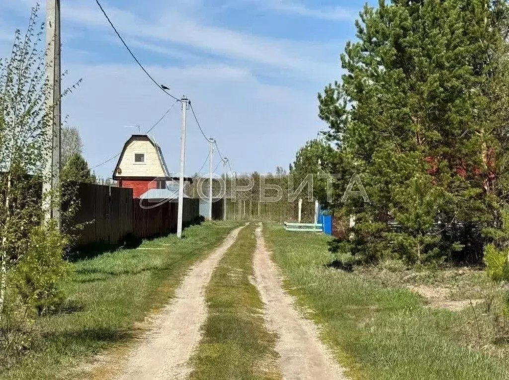 Участок в Тюменская область, Тюменский район, д. Головина Соловьиная ... - Фото 1