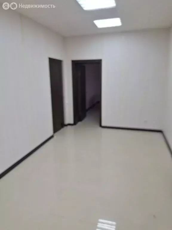 Офис (37.4 м) - Фото 2