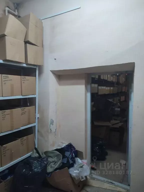 Помещение свободного назначения в Пензенская область, Пенза Окружная ... - Фото 1