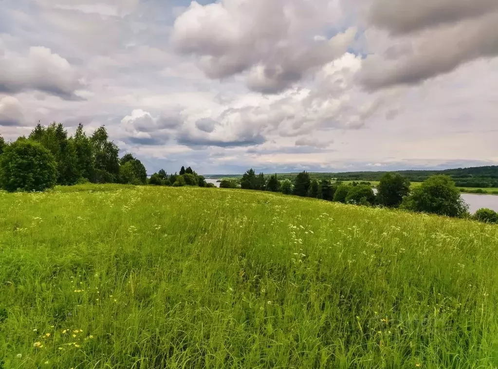 Участок в Карелия, Медвежьегорский муниципальный округ, д. Спировка  ... - Фото 1