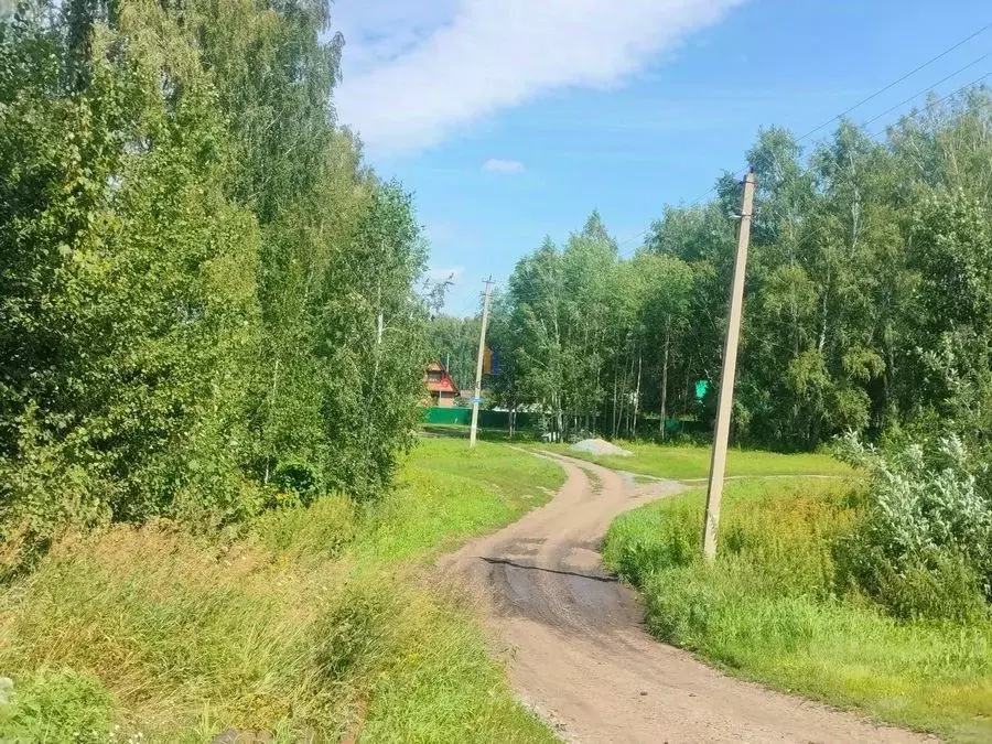 Участок в Новосибирская область, Новосибирский район, с. Ярково  (12.0 ... - Фото 1