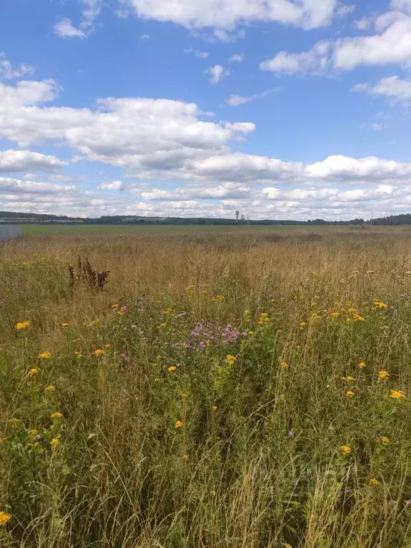 Участок в Владимирская область, Петушинский муниципальный округ, д. ... - Фото 1