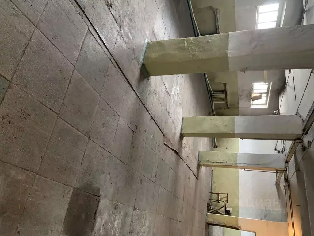 Помещение свободного назначения в Свердловская область, Камышлов ул. ... - Фото 1