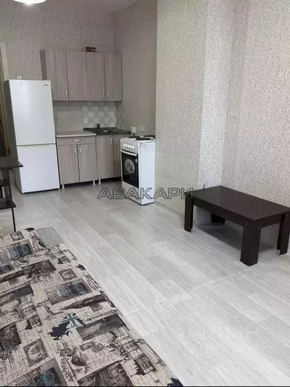 Студия Красноярский край, Красноярск ул. Вильского, 32 (23.0 м) - Фото 2