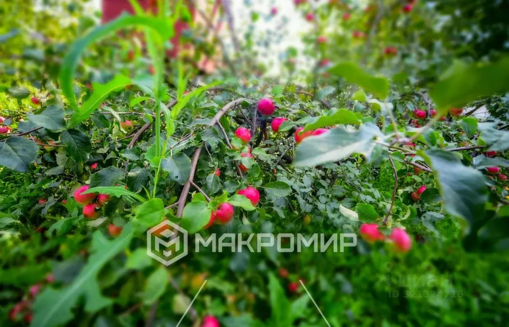 Дом в Челябинская область, Сосновский муниципальный округ, Касарги СНТ ... - Фото 2