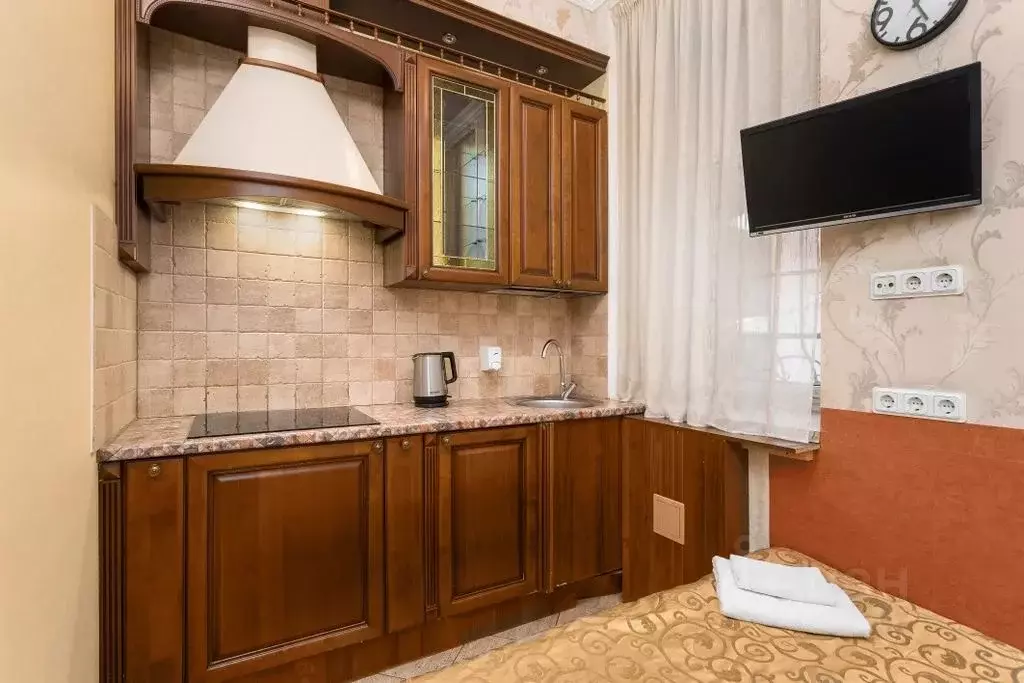 Комната Санкт-Петербург просп. Большой Петроградской стороны, 19 - Фото 2