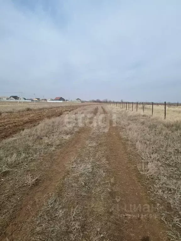 Участок в Волгоградская область, Дубовка ул. Имени Шолохова (6.7 сот.) - Фото 2