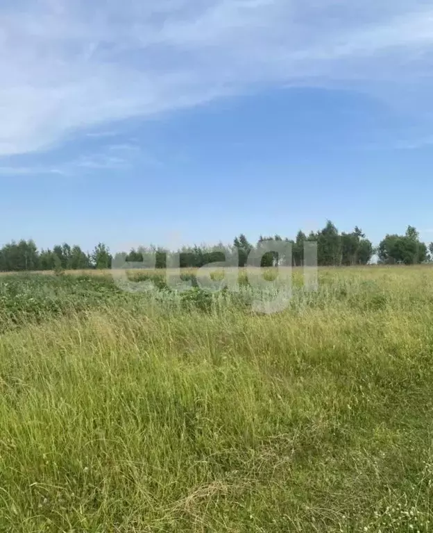 Участок в Костромская область, Нерехта  (8.7 сот.) - Фото 2