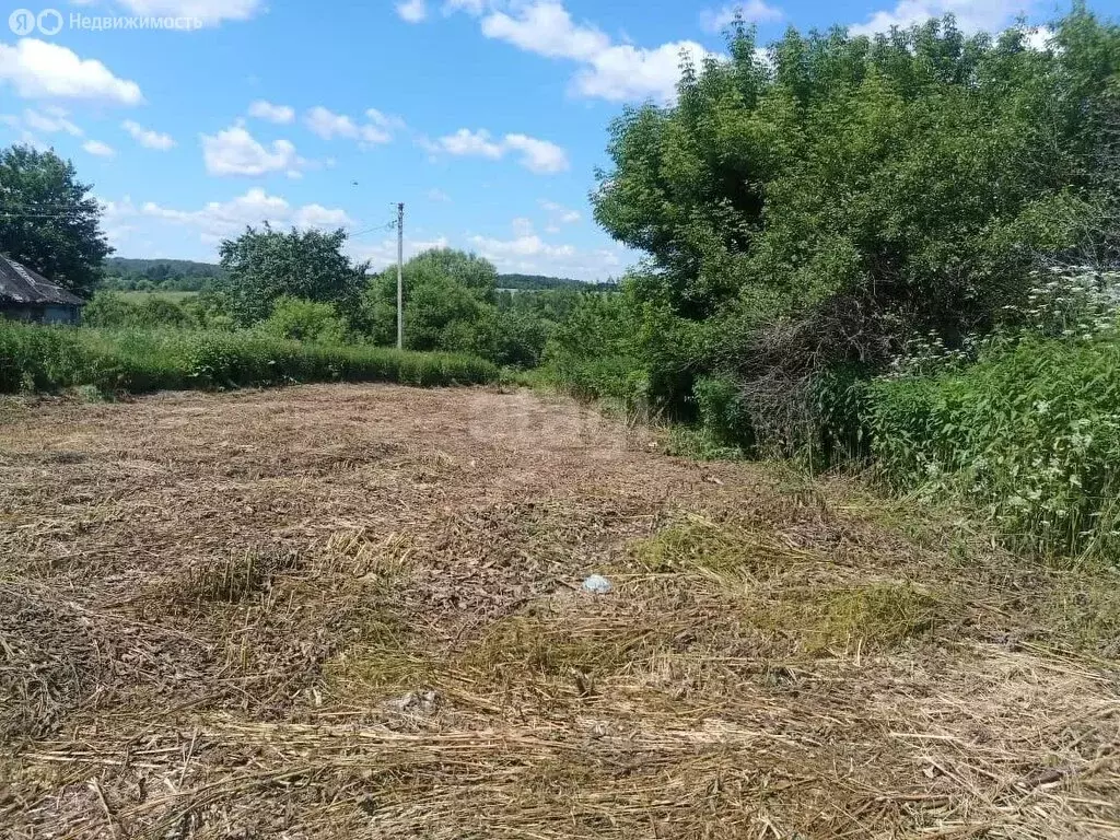 Участок в Болховский район, Хуторское сельское поселение, село ... - Фото 1