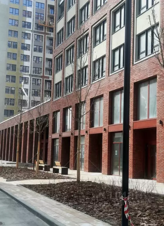 Помещение свободного назначения в Новосибирская область, Новосибирск ... - Фото 2