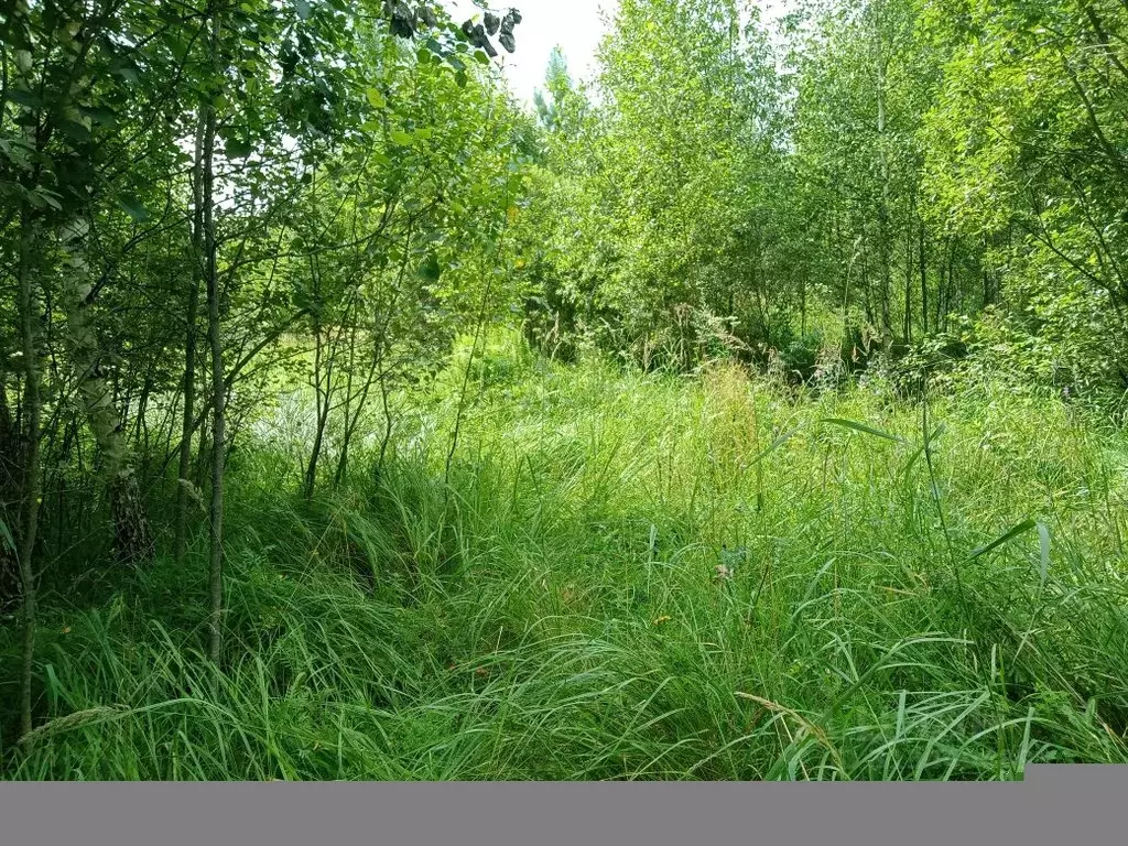 Участок в Московская область, Воскресенск городской округ, д. Бочевино ... - Фото 1