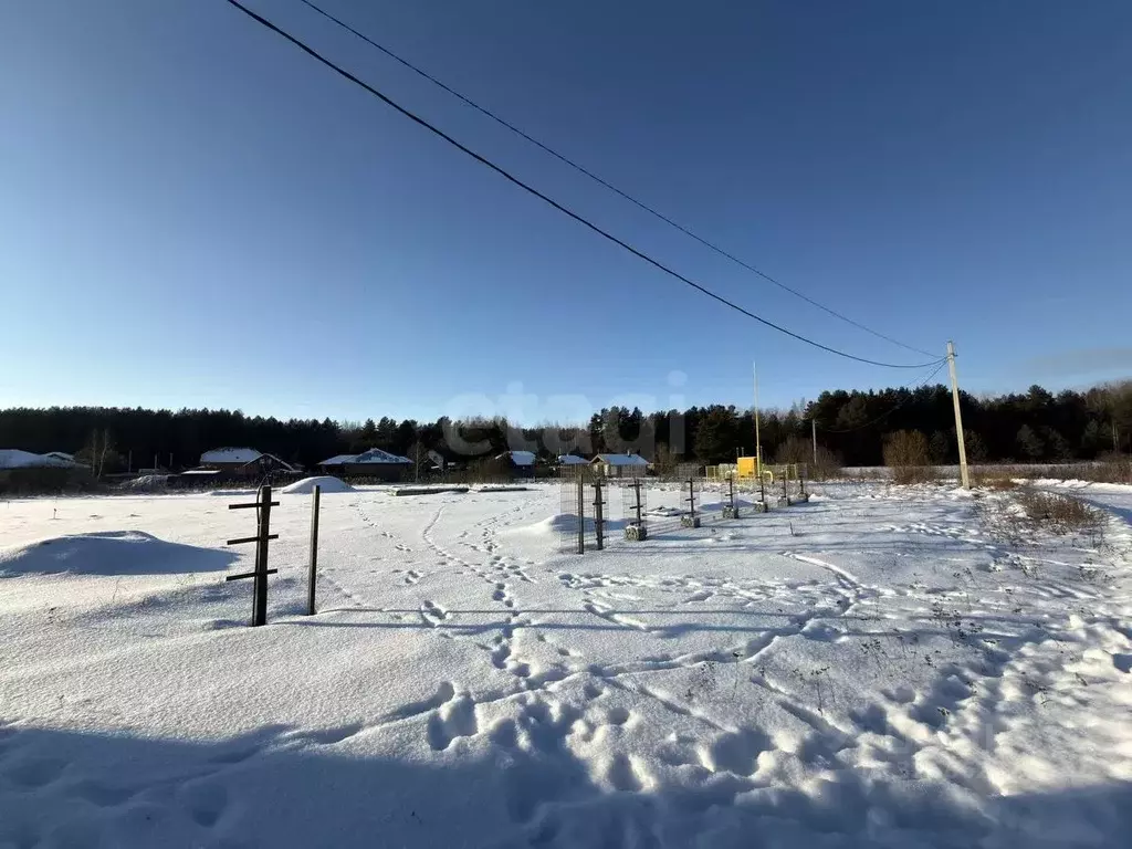Участок в Псковская область, Псковский район, Писковичская волость, д. ... - Фото 2