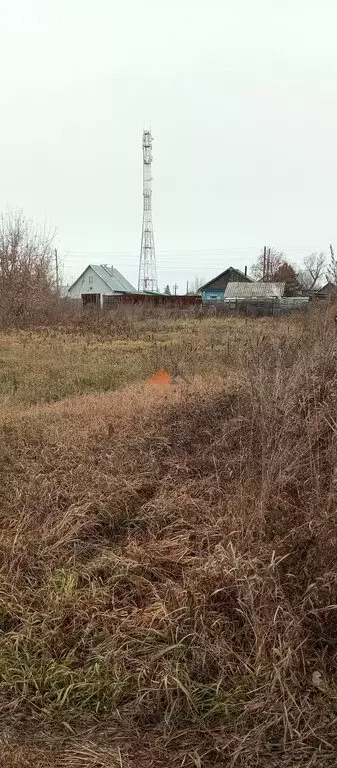 Участок в Искитимский район, Совхозный сельсовет, село Сосновка (16 м) - Фото 1