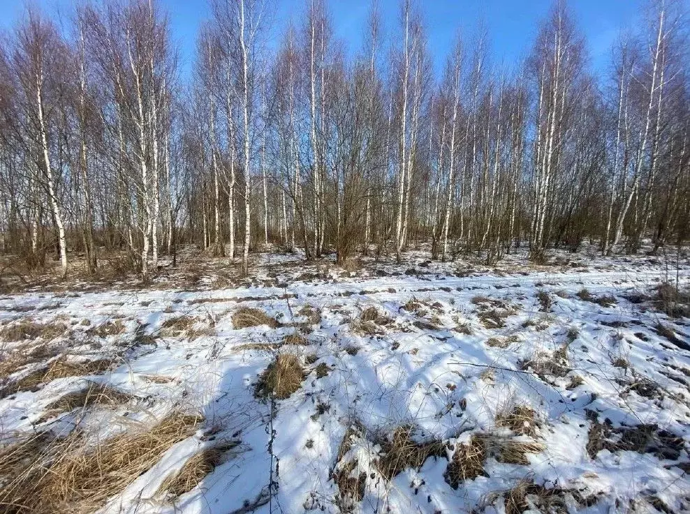 Участок в Московская область, Зарайск Зарайск муниципальный округ, ул. ... - Фото 0