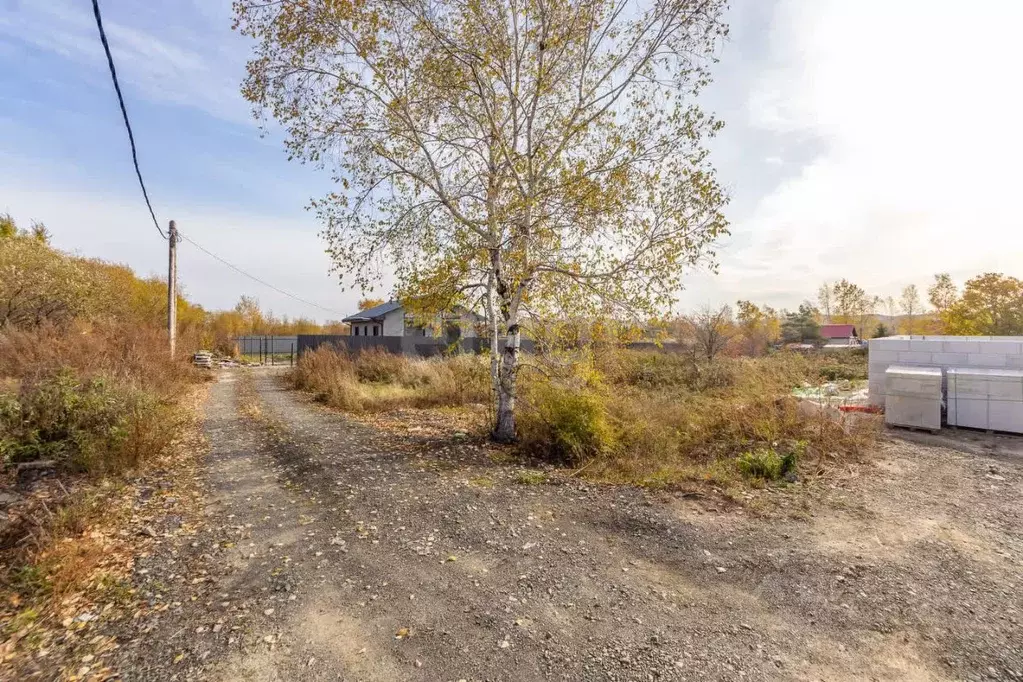 Участок в Хабаровский край, Хабаровский район, с. Сосновка ул. Николая ... - Фото 2