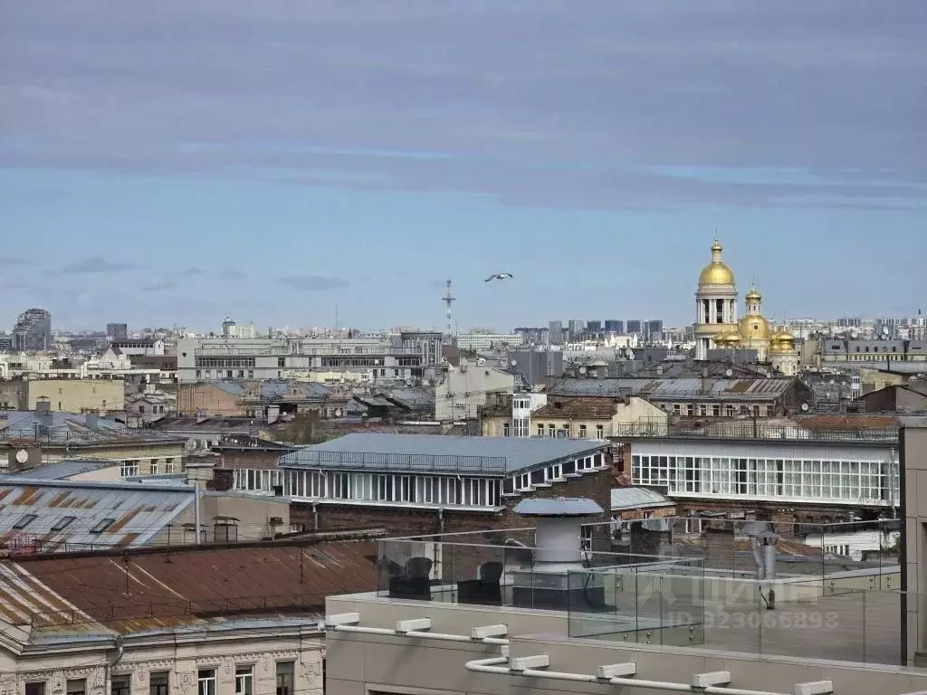 1-к кв. Санкт-Петербург Социалистическая ул., 21 (27.0 м) - Фото 2