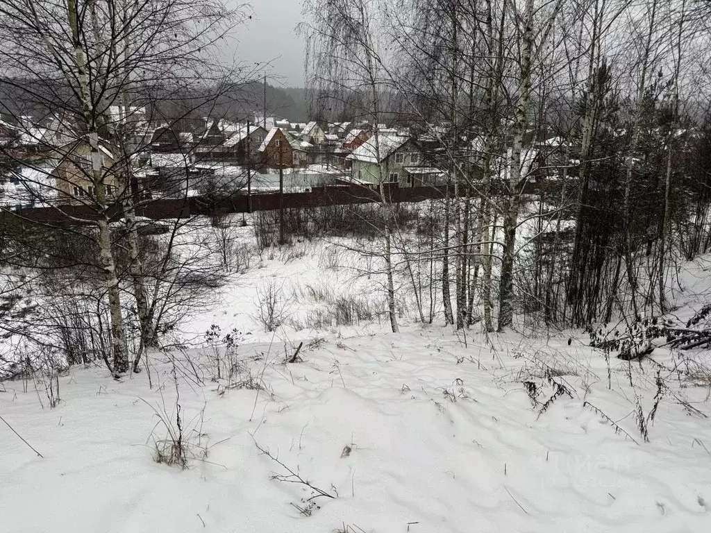 Участок в Московская область, Пушкинский городской округ, д. Лепешки  ... - Фото 0