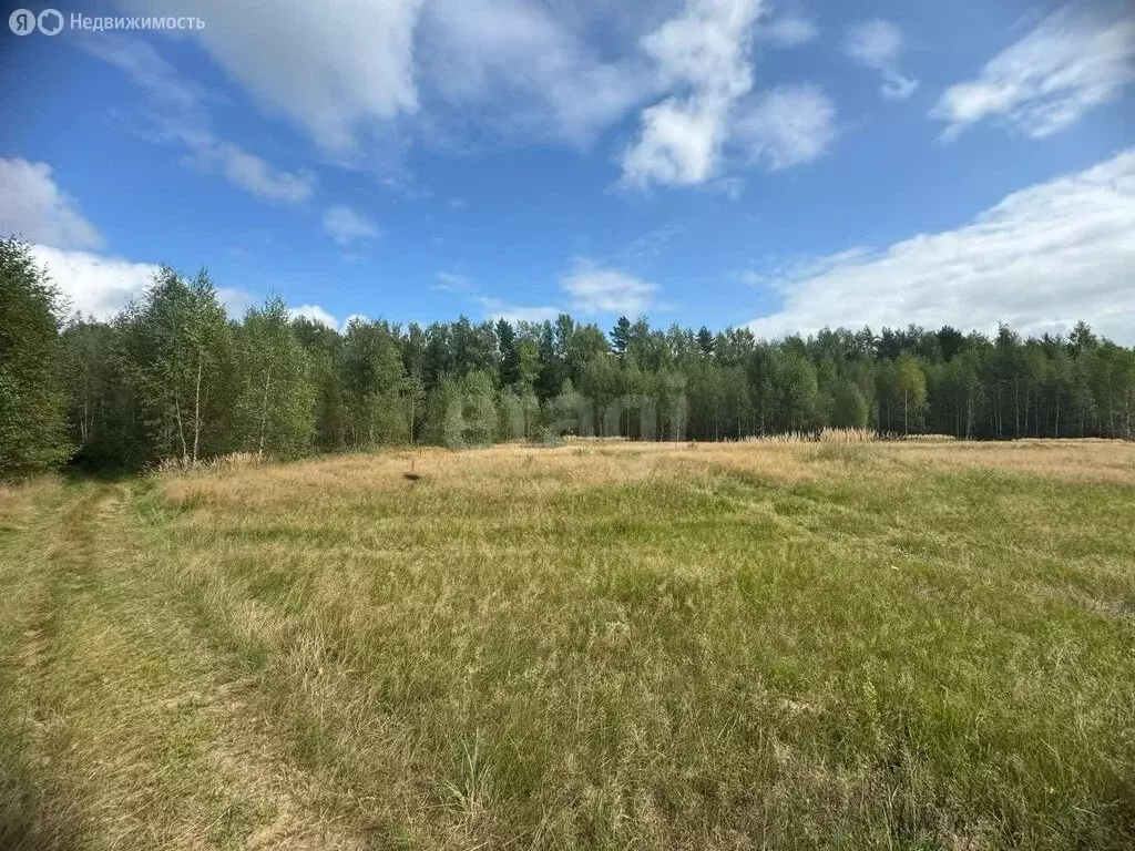 Участок в Костромская область, посёлок городского типа ... - Фото 1