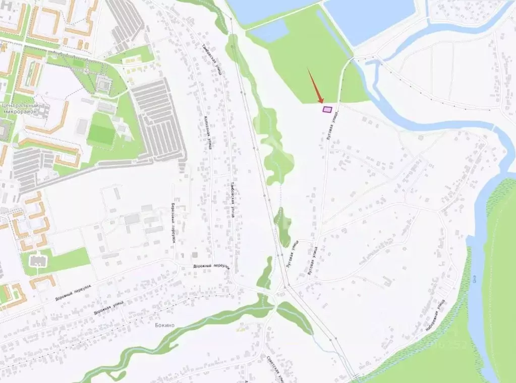 Участок в Тамбовская область, Тамбов городской округ, с. Бокино ул. ... - Фото 1