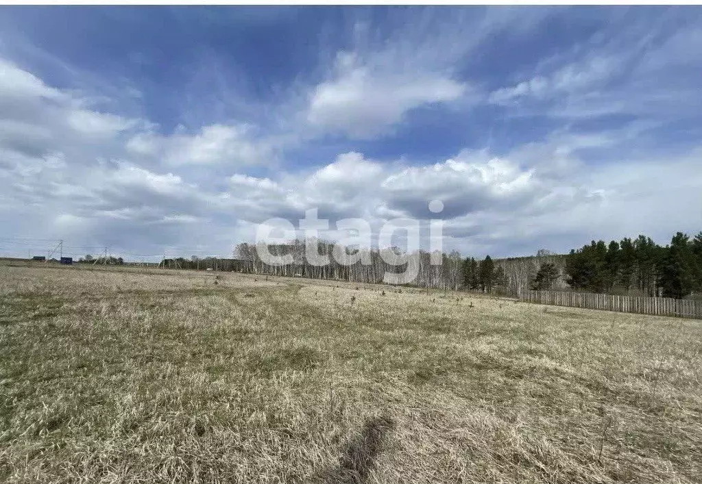 Участок в Красноярский край, Емельяново пгт ул. Нижняя (15.0 сот.) - Фото 1